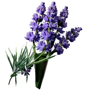 Lavender Flower Png 05062024 PNG Image