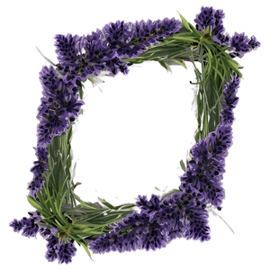 Lavender Frame PNG 05252024 PNG image with transparent background