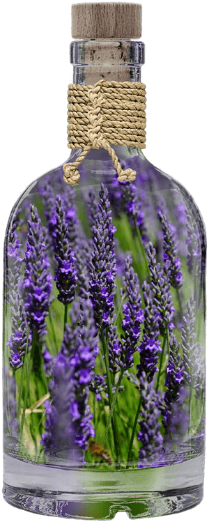 Lavender In Glass Bottle PNG image with transparent background