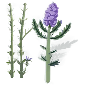 Lavender Plant Flat Design Png 64 PNG Image