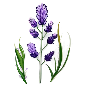 Lavender Plant Flat Design Png Bol9 PNG Image