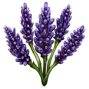 Lavender Plant With Dewdrops Png 06282024 PNG Image