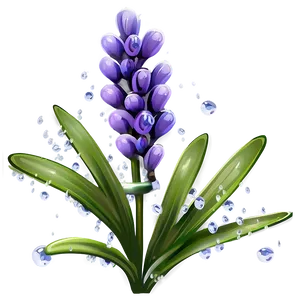 Lavender Plant With Dewdrops Png Wxl PNG Image