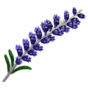 Lavender Sprig Png Mcp PNG Image