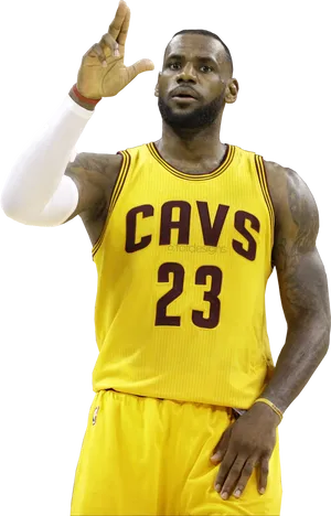 Le Bron Cavaliers23 Gesture.png PNG Image