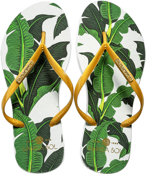 Leaf Flip Flops, HD Png Download PNG image with transparent background
