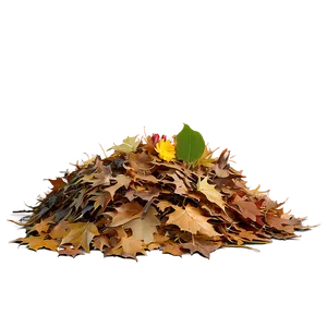 Leaf Pile Under Tree Png Rwj44 PNG Image