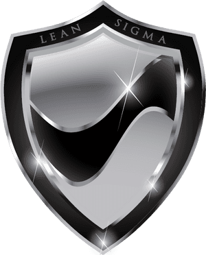 Six Sigma Black Belt Certification - Black Belt Six Sigma, HD Png Download PNG image with transparent background