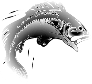 Transparent Fish Jumping Clipart Png, Png Download PNG image with transparent background