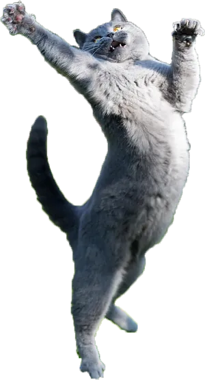 Leaping Grey Cat.png PNG Image