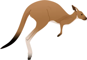 Leaping Kangaroo Graphic PNG Image