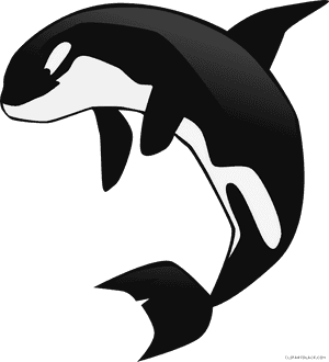 Orca Whale Clipart - Killer Whale Clipart Png, Transparent Png PNG image with transparent background