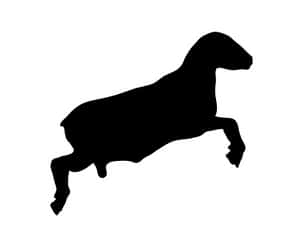 Leaping Sheep Silhouette PNG image with transparent background