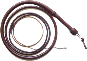 Whip Png Free Download - Whip Png, Transparent Png PNG image with transparent background