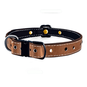 Leather Dog Collar PNG bax PNG with transparent background