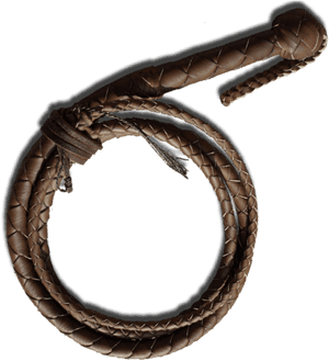 Whip Png Image, Transparent Png PNG image with transparent background