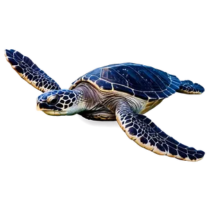 Leatherback Sea Turtle A PNG Image