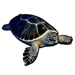 Leatherback Turtle Conservation Graphic Png Xvj PNG Image