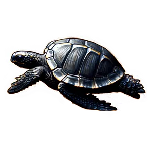 Leatherback Turtle Hatchling Journey Png Efr44 PNG Image