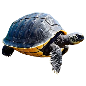 Leatherback Turtle Side View Png Wge83 PNG Image