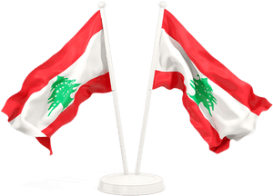 Two Waving Flags - Waving Bangladesh Flag Png, Transparent Png PNG image with transparent background