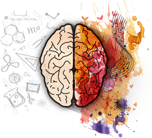 Left Brain Right Brain Creativity PNG with transparent background