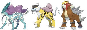 Legendary Trio Pokemon Suicune Raikou Entei PNG Image