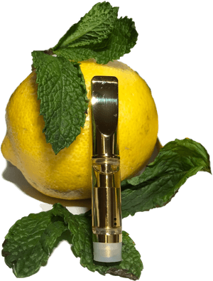 Limonana, HD Png Download PNG