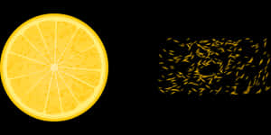 Lemon Sliceand Reflection PNG image with transparent background