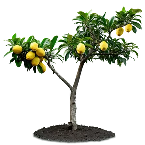 Lemon Tree In Landscape Png Eoh37 PNG Image