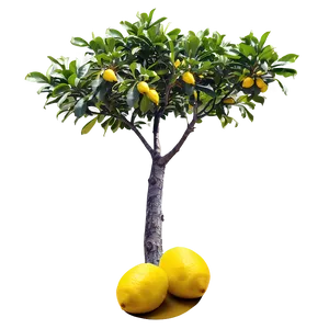 Lemons Tree Png 57 PNG Image