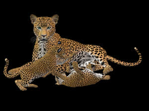 Leopard Family Playtime PNG image with transparent background