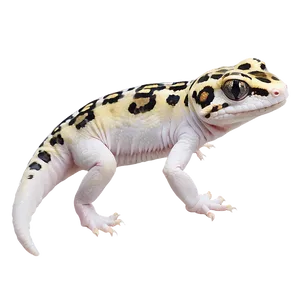 Leopard Gecko In Grass Png 06202024 PNG Image