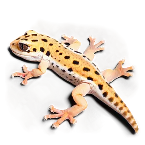 Leopard Gecko In Sand Png Mbg PNG Image