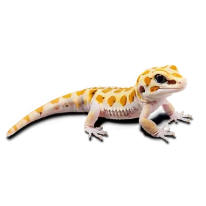 Leopard Gecko Shedding Png Gco42 PNG Image