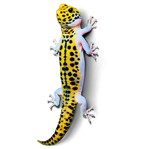 Leopard Gecko Side View Png Wax74 PNG Image