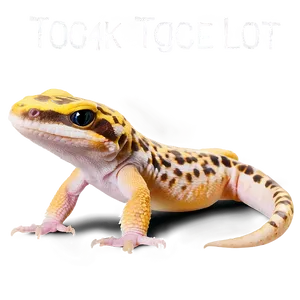 Leopard Gecko Tongue Out Png Psw PNG Image