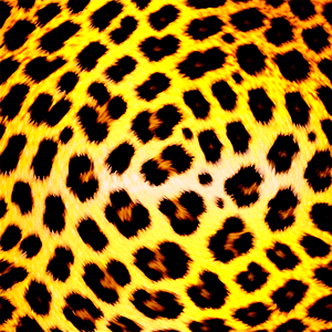 Leopard Print Design PNG gjr94 PNG image with transparent background