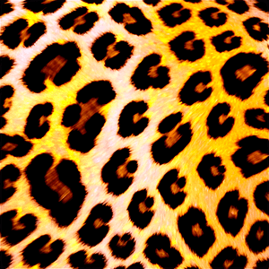 Leopard Print Design PNG ieh PNG image with transparent background