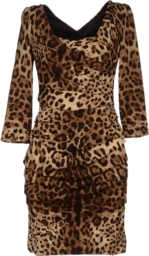 Leopard Print Dress Fashion PNG Image