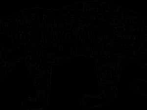 Leopard Silhouette Leopard Print Pattern PNG image with transparent background