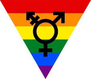 Lesbian Pride Flagwith Symbols PNG image with transparent background