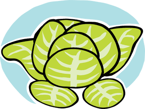Iceberg Lettuce - Lettuce Clip Art, HD Png Download PNG image with transparent background