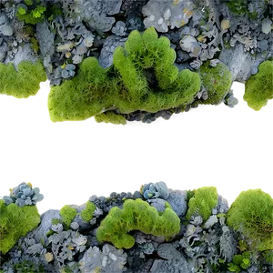 Lichen Landscape Png 06242024 PNG Image