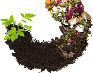 Soil Nurseries, HD Png Download PNG with transparent background