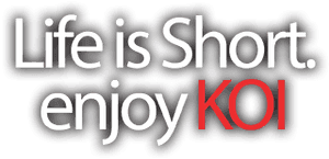Lifeis Short Enjoy K O I Slogan PNG image with transparent background