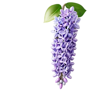 Lilac Charm Png 06122024 PNG Image