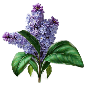 Lilac Fantasy PNG 58 PNG with transparent background