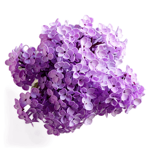 Lilac Glow PNG uuv PNG with transparent background