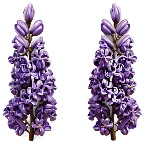 Lilac Illustration Png Wla PNG Image